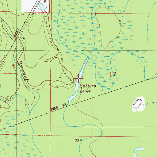 Topographic Map of Salters Lake, FL