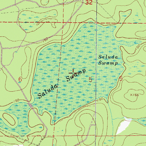 Topographic Map of Saluda Swamp, FL