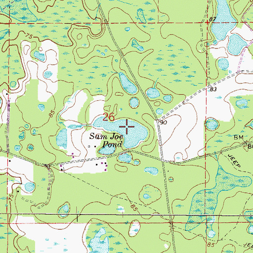 Topographic Map of Sam Joe Pond, FL