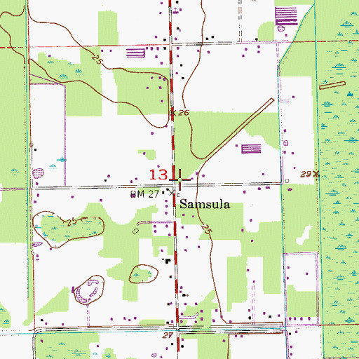 Topographic Map of Samsula, FL