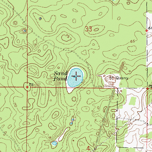 Topographic Map of Sand Pond, FL