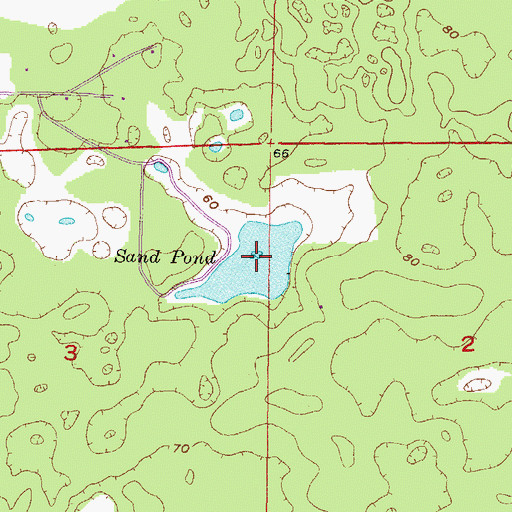 Topographic Map of Sand Pond, FL