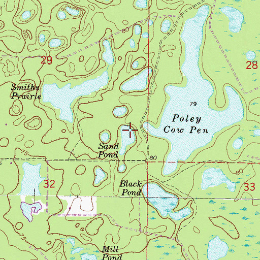 Topographic Map of Sand Pond, FL
