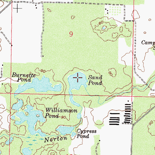 Topographic Map of Sand Pond, FL