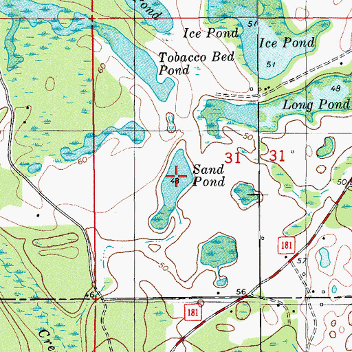 Topographic Map of Sand Pond, FL