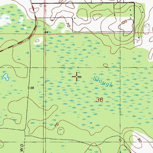 Topographic Map of Sand Slough, FL