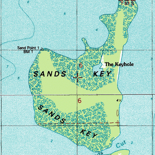 Topographic Map of Sands Key, FL