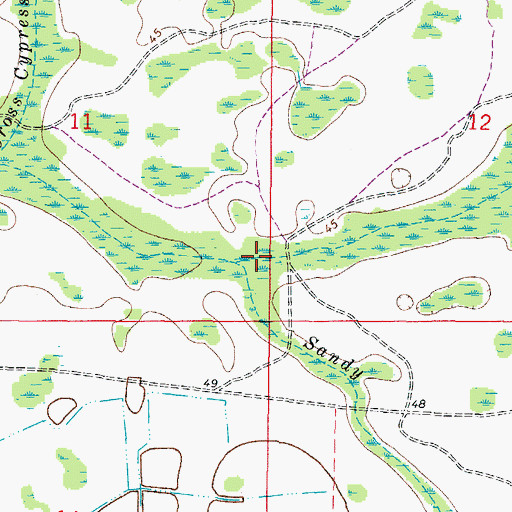 Topographic Map of Sandy Branch, FL
