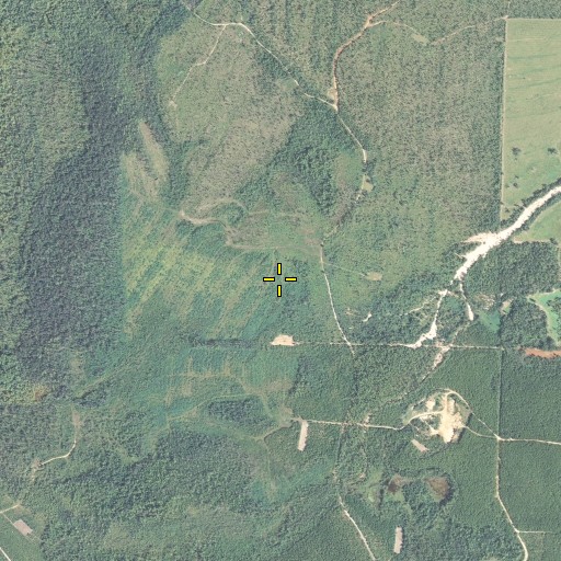 Aerial/Satellite Image of Sandy Hollow, FL