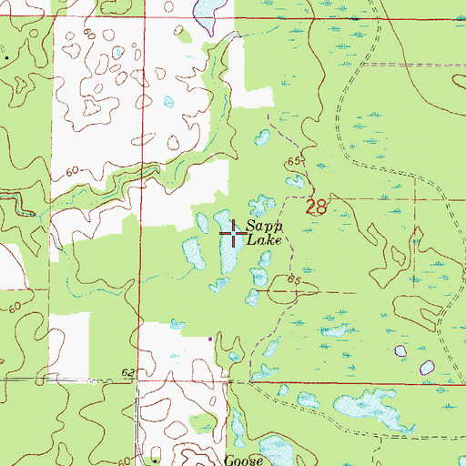 Topographic Map of Sapp Lake, FL