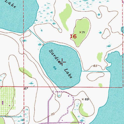 Topographic Map of Sardine Lake, FL