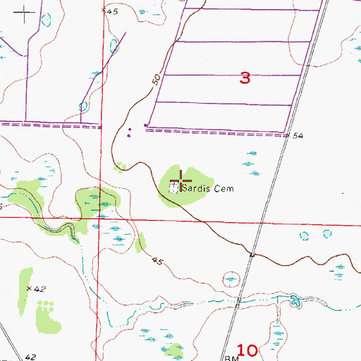 Topographic Map of Sardis Cemetery, FL