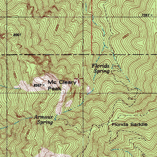 Topographic Map of Florida Spring, AZ