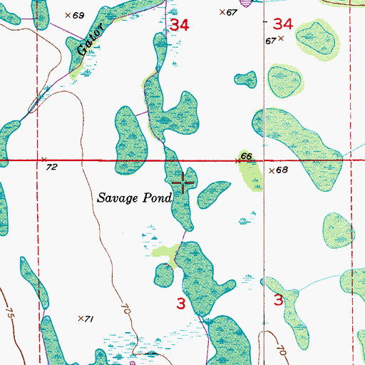 Topographic Map of Savage Pond, FL