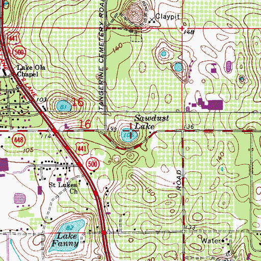 Topographic Map of Sawdust Lake, FL