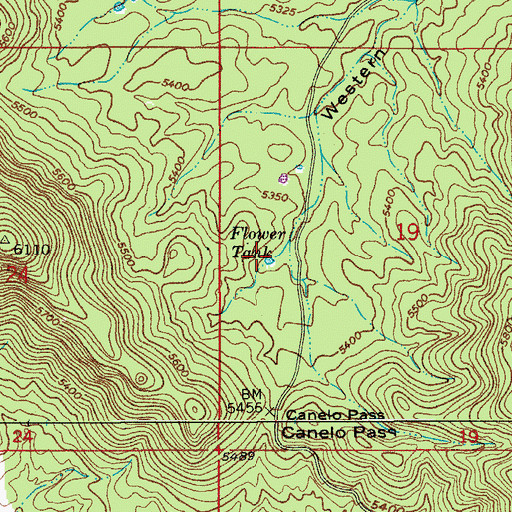 Topographic Map of Flower Tank, AZ