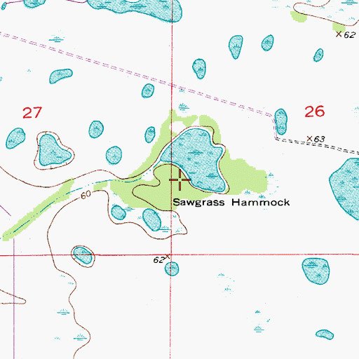 Topographic Map of Sawgrass Hammock, FL