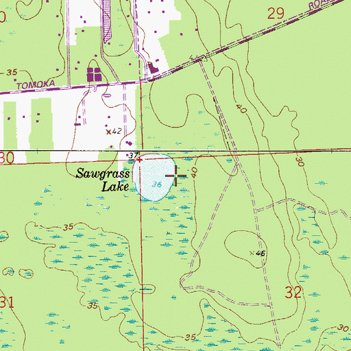 Topographic Map of Sawgrass Lake, FL