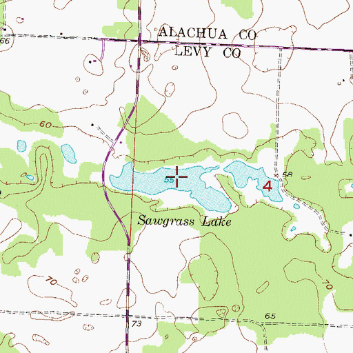 Topographic Map of Sawgrass Lake, FL