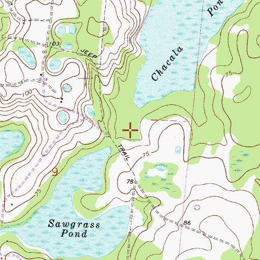 Topographic Map of Sawgrass Pond, FL