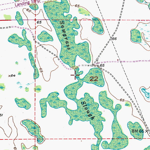 Topographic Map of Sawgrass Slough, FL