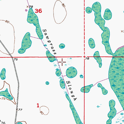 Topographic Map of Sawgrass Slough, FL