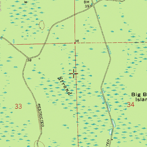 Topographic Map of Sawgrass Strand, FL