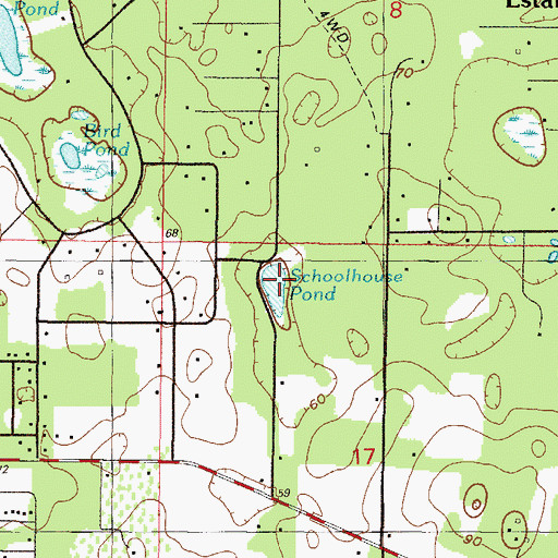 Topographic Map of Schoolhouse Pond, FL