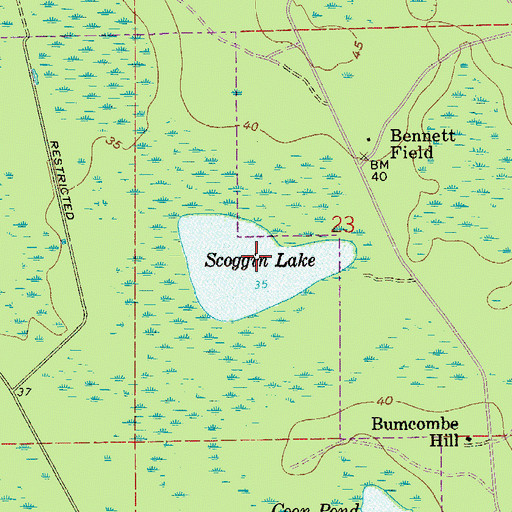 Topographic Map of Scoggin Lake, FL