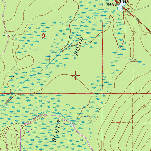 Topographic Map of Scout Pond, FL
