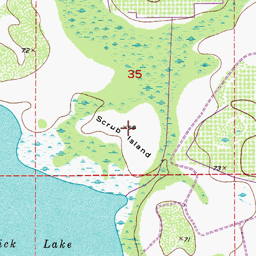 Topographic Map of Scrub Island, FL
