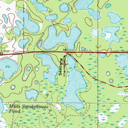 Topographic Map of Seaburg Hammock, FL