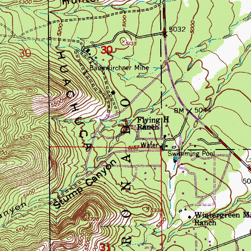 Topographic Map of Flying H Ranch, AZ