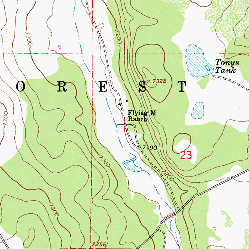 Topographic Map of Flying M Ranch, AZ