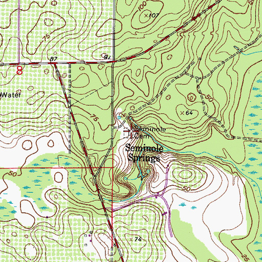 Topographic Map of Seminole Cemetery, FL