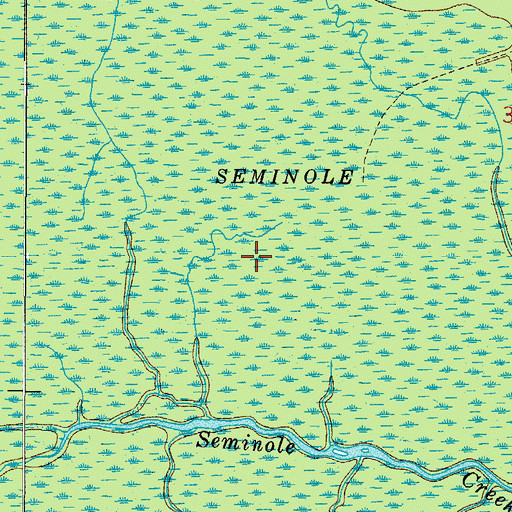 Topographic Map of Seminole Swamp, FL