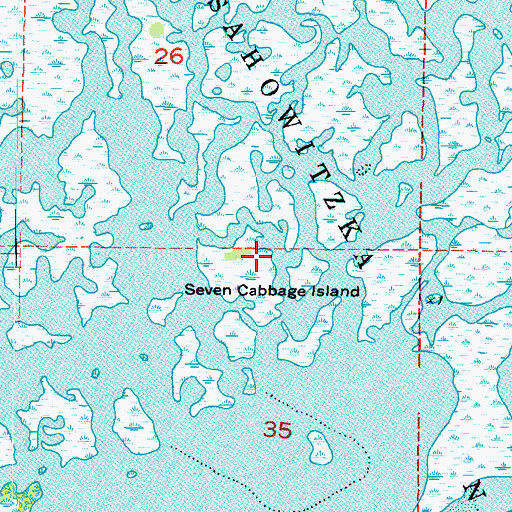 Topographic Map of Seven Cabbage Island, FL