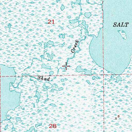 Topographic Map of Shad Creek, FL