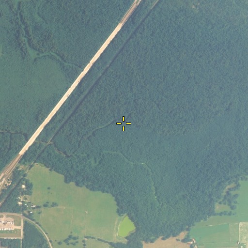 Aerial/Satellite Image of Shady Brook, FL