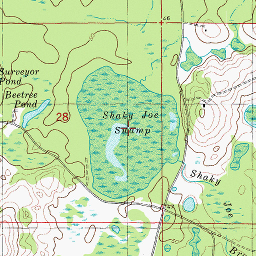 Topographic Map of Shaky Joe Swamp, FL