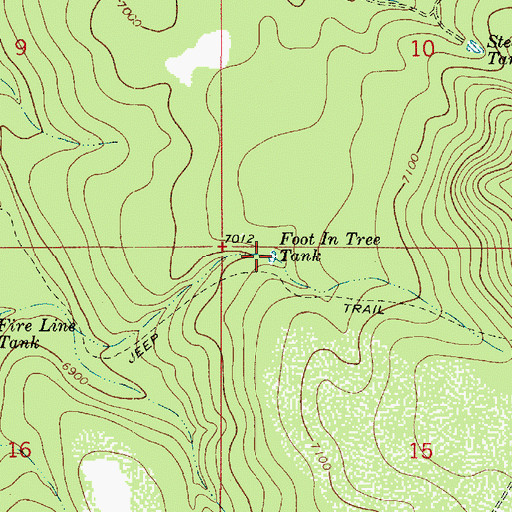 Topographic Map of Foot in Tree Tank, AZ