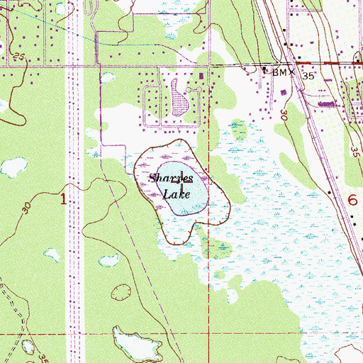 Topographic Map of Sharpes Lake, FL