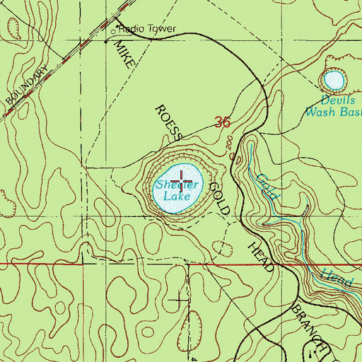 Topographic Map of Sheelar Lake, FL