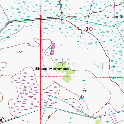 Topographic Map of Sheep Hammock, FL