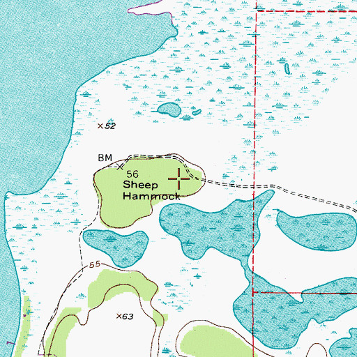 Topographic Map of Sheep Hammock, FL