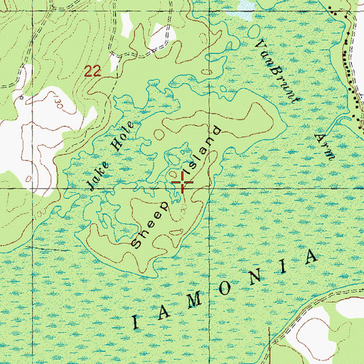 Topographic Map of Sheep Island, FL