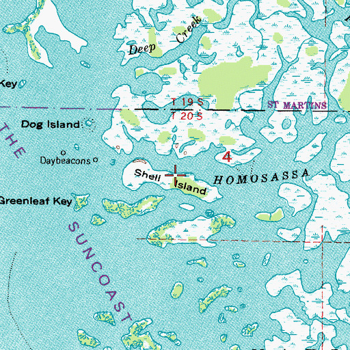 Topographic Map of Shell Island, FL