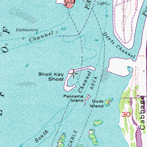 Topographic Map of Shell Key Shoal, FL