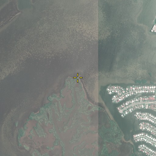 Aerial/Satellite Image of Shell Point, FL