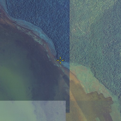 Aerial/Satellite Image of Shell Point, FL